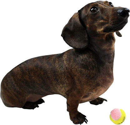 X-Small Dog Tennis Balls 1.5" - Pack of 12 Mini Fetch Balls for Puppies - Yellow and Pink