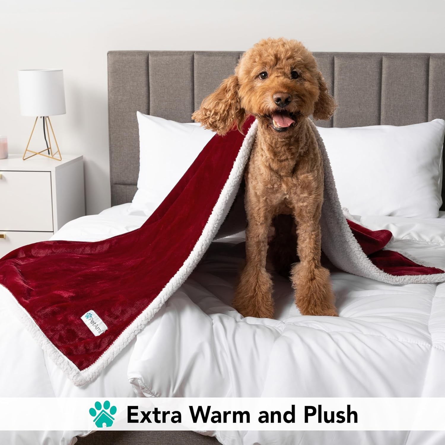 Reversible Fleece Dog Blanket for Small to Medium Pets, Soft Sherpa Throw for Couch and Car, Washable Mini Size 29x40 in Maroon Red