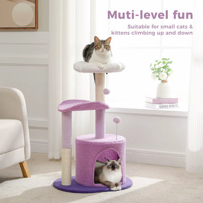 Cactus-Inspired Cat Tree with Curved Perch and Removable Top Bed - Cozy Indoor Cat Condo and Scratching Post for Small Cats