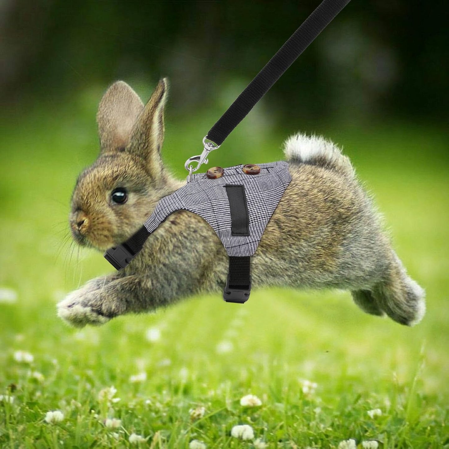 Adjustable Formal Suit Style Rabbit Vest Harness and Leash Set for Small Animals (S)