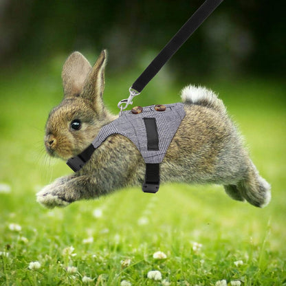 Adjustable Formal Suit Style Rabbit Vest Harness and Leash Set for Small Animals (S)